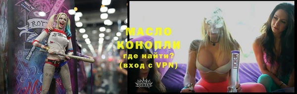 мдпв Протвино