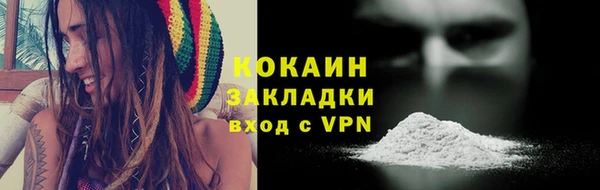 твердый Аркадак