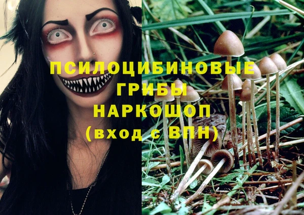 твердый Аркадак