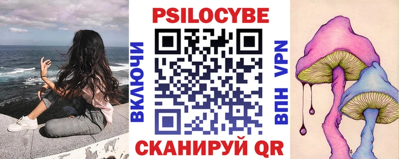 магазин продажи   Пущино  Галлюциногенные грибы GOLDEN TEACHER 